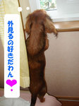 070331sa01.jpg