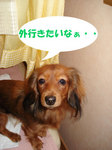 070331sa02.jpg