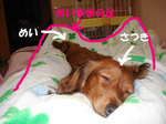 070331sa03.jpg