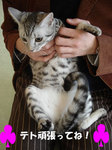 070331teto02.jpg