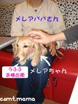 070429merea04s.jpg