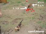 070730-5.jpg