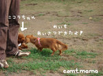 070730-6.jpg