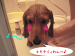 070829-1.jpg