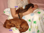 070829-4.jpg