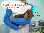 070930-3.jpg