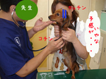 070930-4.jpg