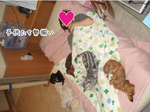 071030-1.jpg