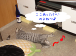 071127-2.jpg