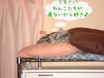 071127-3.jpg