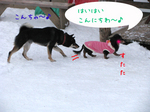 080119-10.jpg