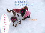 080119-12.jpg