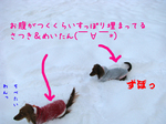 080119-4.jpg