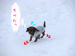 080119-7.jpg