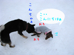 080119-9.jpg