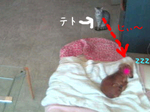 080129-1.jpg