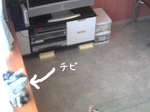 080129-2.jpg