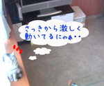 080129-4.jpg
