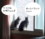 080327-1.jpg