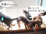 080327-3.jpg