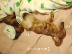 080529-2.jpg