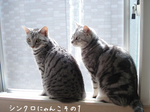 080529-3.jpg