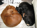 080529-5.jpg