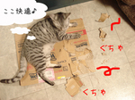 080630-1.jpg