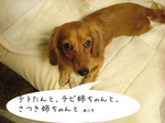 080630-4.jpg
