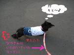 080709-4.jpg