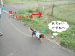 080709-6.jpg