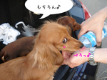 080709-9.jpg