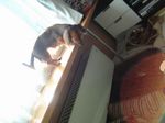 090322-2.jpg