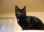 20081203-1.jpg