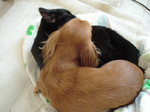 20081203-2.jpg