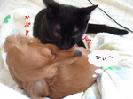 20081203-3.jpg