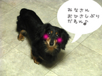 20081210-1.jpg