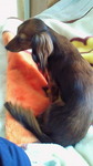 image/chibi0912-2009-07-09T14:52:04-1.jpg